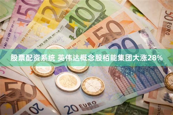 股票配资系统 英伟达概念股栢能集团大涨28%