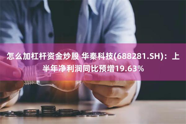 怎么加杠杆资金炒股 华秦科技(688281.SH)：上半年净利润同比预增19.63%