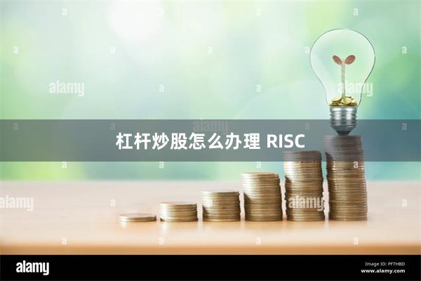 杠杆炒股怎么办理 RISC