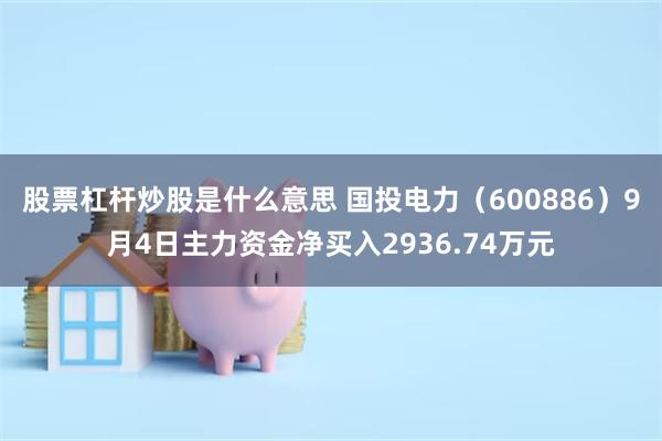 股票杠杆炒股是什么意思 国投电力（600886）9月4日主力资金净买入2936.74万元