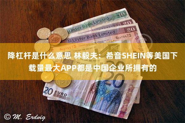 降杠杆是什么意思 林毅夫：希音SHEIN等美国下载量最大APP都是中国企业所拥有的