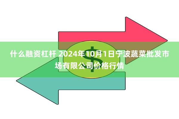 什么融资杠杆 2024年10月1日宁波蔬菜批发市场有限公司价格行情