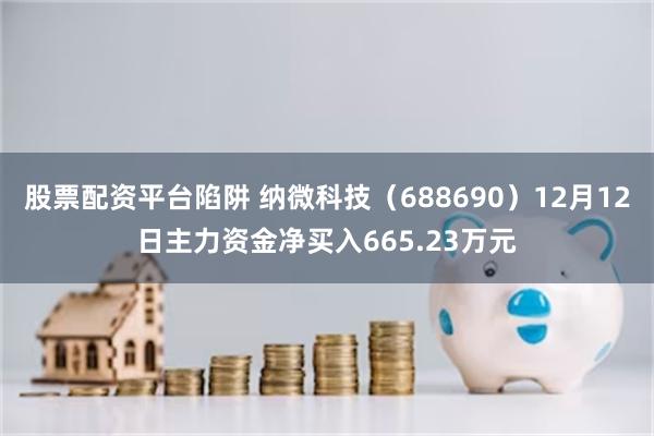 股票配资平台陷阱 纳微科技（688690）12月12日主力资金净买入665.23万元