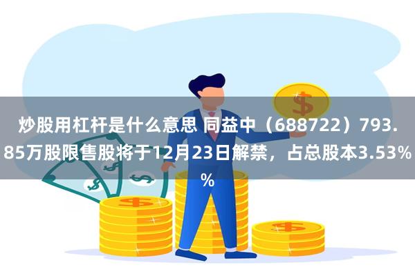 炒股用杠杆是什么意思 同益中（688722）793.85万股限售股将于12月23日解禁，占总股本3.53%