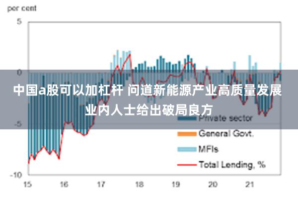 中国a股可以加杠杆 问道新能源产业高质量发展 业内人士给出破局良方