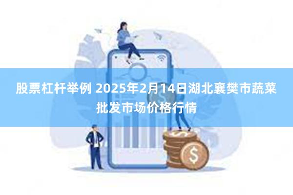 股票杠杆举例 2025年2月14日湖北襄樊市蔬菜批发市场价格行情