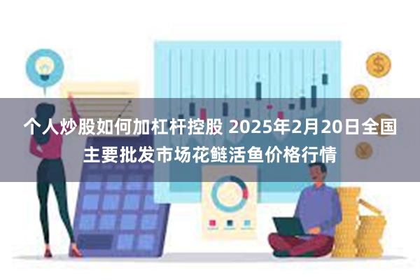 个人炒股如何加杠杆控股 2025年2月20日全国主要批发市场花鲢活鱼价格行情