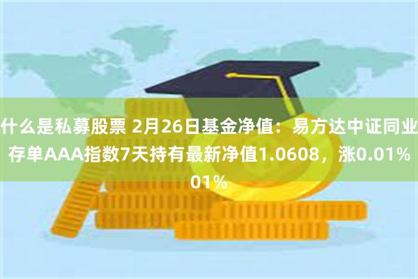 什么是私募股票 2月26日基金净值：易方达中证同业存单AAA指数7天持有最新净值1.0608，涨0.01%